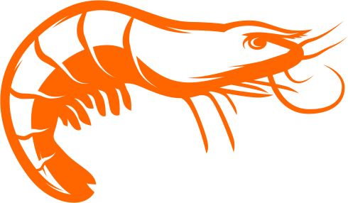 udang